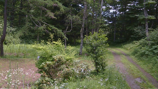 長野県菅平高原 ゆたか山荘 坂上 2026/07/21 12:15