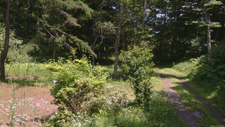 長野県菅平高原 ゆたか山荘 坂上 2026/07/21 12:30