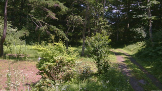 長野県菅平高原 ゆたか山荘 坂上 2026/07/21 12:45