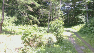 長野県菅平高原 ゆたか山荘 坂上 2026/07/21 13:00