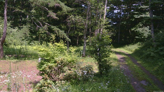 長野県菅平高原 ゆたか山荘 坂上 2026/07/21 13:30