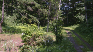 長野県菅平高原 ゆたか山荘 坂上 2026/07/21 13:45