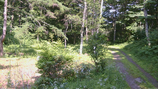 長野県菅平高原 ゆたか山荘 坂上 2026/07/21 14:15