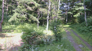 長野県菅平高原 ゆたか山荘 坂上 2026/07/21 14:45