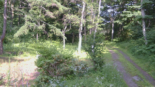 長野県菅平高原 ゆたか山荘 坂上 2026/07/21 15:00