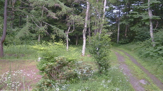 長野県菅平高原 ゆたか山荘 坂上 2026/07/21 15:15