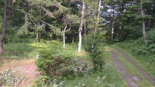 長野県菅平高原 ゆたか山荘 坂上 2026/07/21 15:30
