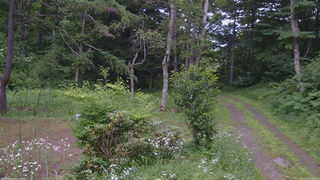 長野県菅平高原 ゆたか山荘 坂上 2026/07/21 15:45