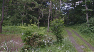 長野県菅平高原 ゆたか山荘 坂上 2026/07/21 16:15