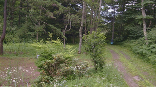 長野県菅平高原 ゆたか山荘 坂上 2026/07/21 16:30