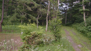 長野県菅平高原 ゆたか山荘 坂上 2026/07/21 16:45
