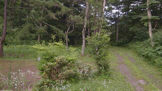 長野県菅平高原 ゆたか山荘 坂上 2026/07/21 17:00