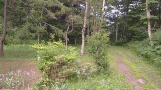 長野県菅平高原 ゆたか山荘 坂上 2026/07/21 17:15