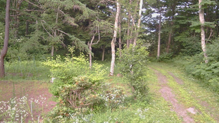 長野県菅平高原 ゆたか山荘 坂上 2026/07/21 17:30