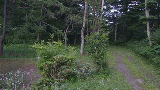 長野県菅平高原 ゆたか山荘 坂上 2026/07/21 17:45