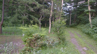 長野県菅平高原 ゆたか山荘 坂上 2026/07/21 18:15