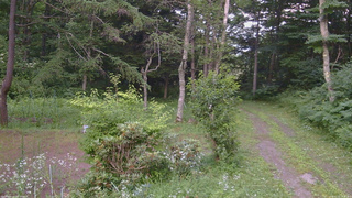 長野県菅平高原 ゆたか山荘 坂上 2026/07/21 18:30