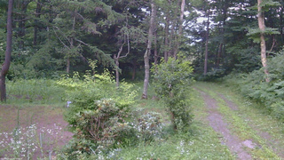 長野県菅平高原 ゆたか山荘 坂上 2026/07/21 18:45