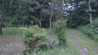 長野県菅平高原 ゆたか山荘 坂上 2026/07/21 19:00