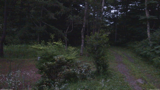 長野県菅平高原 ゆたか山荘 坂上 2026/07/21 19:15