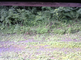 長野県菅平高原 ゆたか山荘 東側(坂下) 2026/07/22 07:45