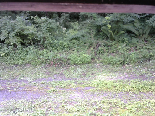 長野県菅平高原 ゆたか山荘 東側(坂下) 2026/07/22 10:15
