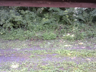 長野県菅平高原 ゆたか山荘 東側(坂下) 2026/07/22 13:30