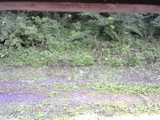 長野県菅平高原 ゆたか山荘 東側(坂下) 2026/07/22 14:30