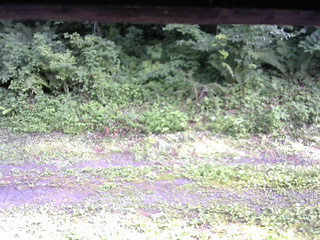 長野県菅平高原 ゆたか山荘 東側(坂下) 2026/07/22 16:30