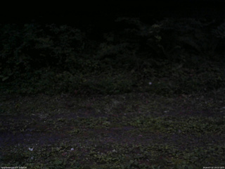 長野県菅平高原 ゆたか山荘 東側(坂下) 2026/07/22 19:15