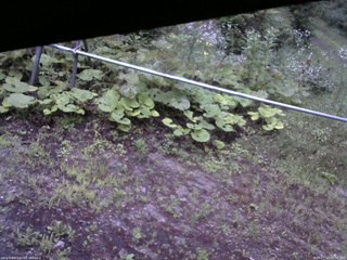 長野県菅平高原 ゆたか山荘 駐車場 2026/07/22 05:00