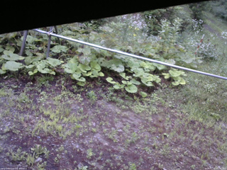 長野県菅平高原 ゆたか山荘 駐車場 2026/07/22 05:30