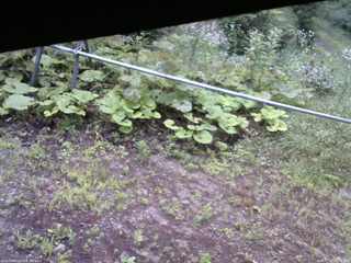 長野県菅平高原 ゆたか山荘 駐車場 2026/07/22 06:30