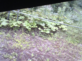 長野県菅平高原 ゆたか山荘 駐車場 2026/07/22 06:45