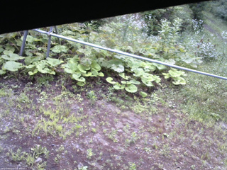 長野県菅平高原 ゆたか山荘 駐車場 2026/07/22 07:00