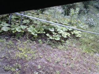 長野県菅平高原 ゆたか山荘 駐車場 2026/07/22 07:45