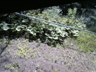長野県菅平高原 ゆたか山荘 駐車場 2026/07/22 08:30