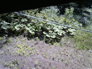 長野県菅平高原 ゆたか山荘 駐車場 2026/07/22 08:45