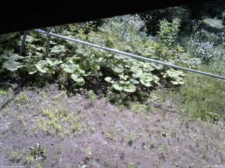 長野県菅平高原 ゆたか山荘 駐車場 2026/07/22 09:00
