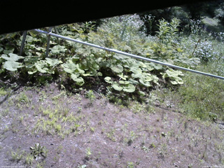 長野県菅平高原 ゆたか山荘 駐車場 2026/07/22 09:15