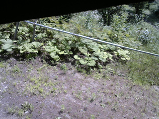 長野県菅平高原 ゆたか山荘 駐車場 2026/07/22 10:00