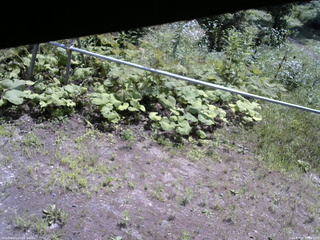 長野県菅平高原 ゆたか山荘 駐車場 2026/07/22 10:30