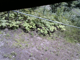 長野県菅平高原 ゆたか山荘 駐車場 2026/07/22 11:00