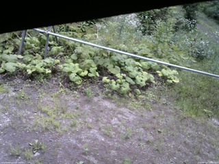 長野県菅平高原 ゆたか山荘 駐車場 2026/07/22 11:15