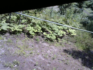 長野県菅平高原 ゆたか山荘 駐車場 2026/07/22 11:30