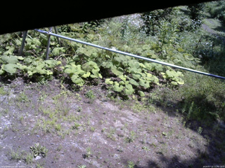 長野県菅平高原 ゆたか山荘 駐車場 2026/07/22 11:45