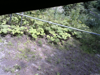 長野県菅平高原 ゆたか山荘 駐車場 2026/07/22 12:15