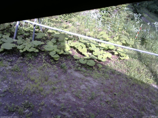 長野県菅平高原 ゆたか山荘 駐車場 2026/07/22 16:00
