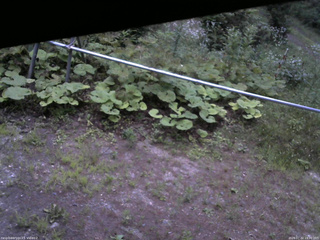 長野県菅平高原 ゆたか山荘 駐車場 2026/07/22 19:00