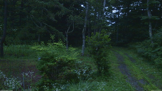長野県菅平高原 ゆたか山荘 坂上 2026/07/22 05:00